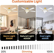 Load image into Gallery viewer, 52 Inch Ceiling Fan With Remote Dimmable Lights White Gold