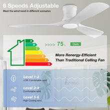 Load image into Gallery viewer, 52 Inch Smart Low Profile Ceiling Fan With Remote Control