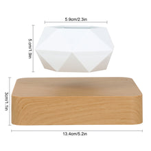 Load image into Gallery viewer, Novelty Levitating Rotation Flowerpot Magnetic Levitation FlowerPot
