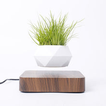 Load image into Gallery viewer, Novelty Levitating Rotation Flowerpot Magnetic Levitation FlowerPot