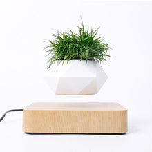 Load image into Gallery viewer, Novelty Levitating Rotation Flowerpot Magnetic Levitation FlowerPot